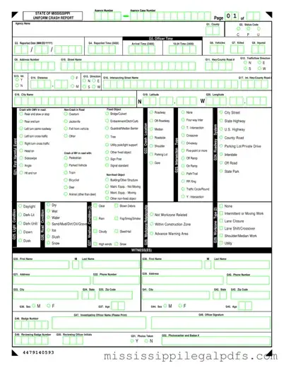 Blank Mississippi Accident Report Form